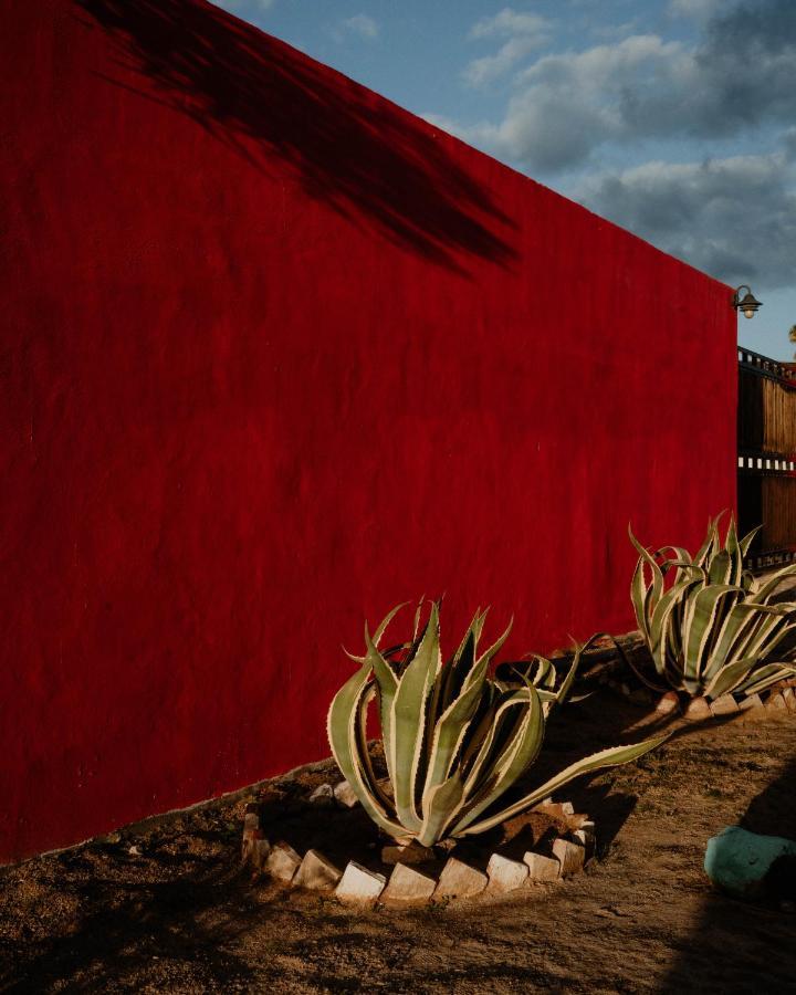Cabana R Y A Valle De Guadalupe Bagian luar foto
